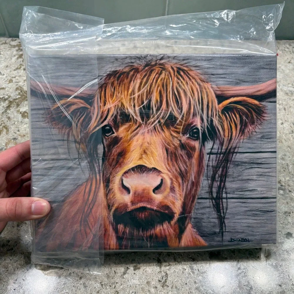 NEW The Highland Cow Gallery Wrap Print‎ from Original Painting Farmhouse 8x10